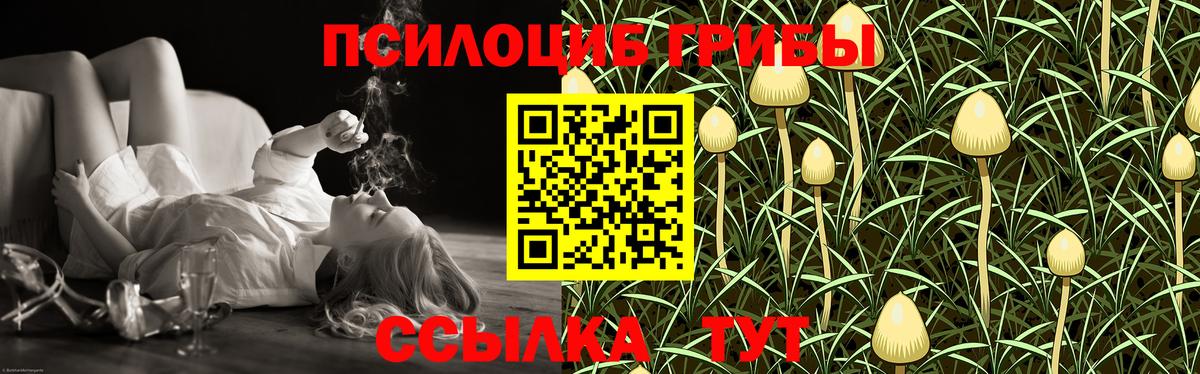 Галлюциногенные грибы Magic Shrooms  Галлюциногенные грибы Cubensis  Черняховск  Вход с VPN 